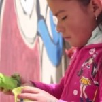 Muerte a la muerte (poemario)